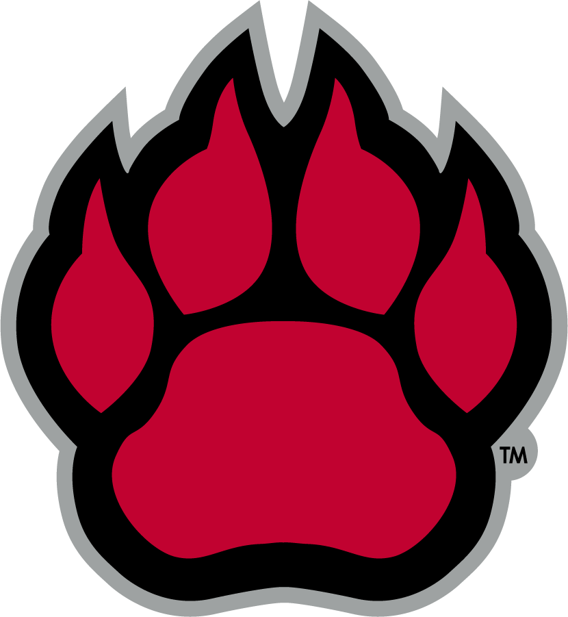 Northern Illinois Huskies 2011-Pres Secondary Logo diy iron on heat transfer